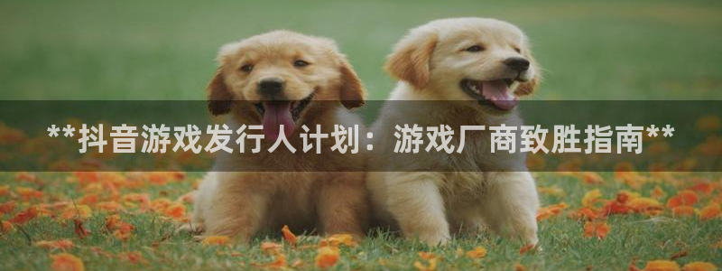 新宝gg—创造奇迹代理注册：**抖音游戏发行人计划：游戏厂商致胜指南**