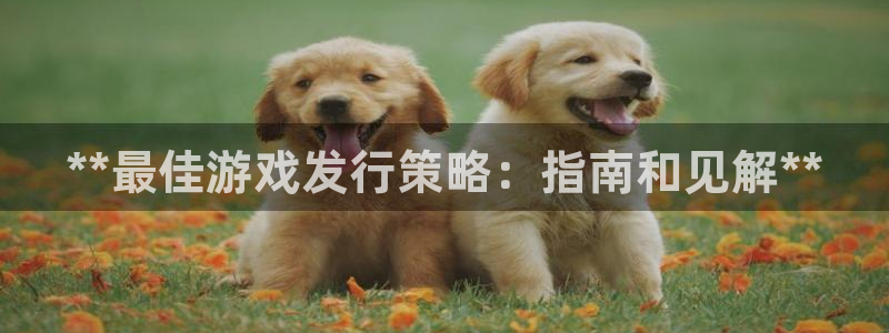 新宝gg—创造奇迹代理注册：**最佳游戏发行策略：指南和见解**