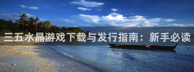 新宝gg为什么登不上去了：三五水晶游戏下载与发行指南：新手必读
