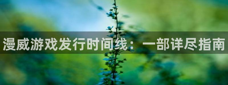 新宝gg怎么登录不了了：漫威游戏发行时间线：一部详尽指南
