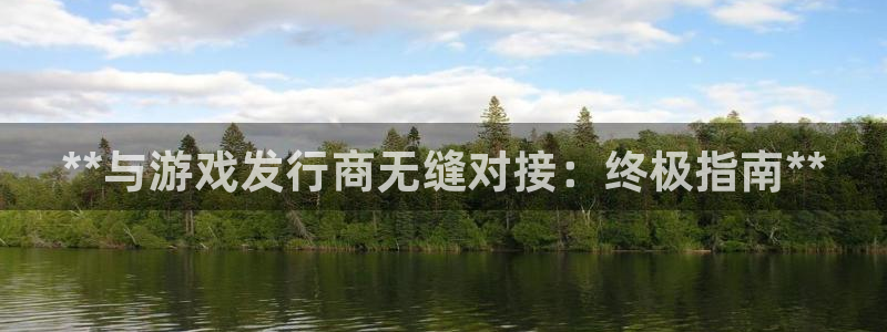 新宝gg平台注册官网：**与游戏发行商无缝对接：终极指南**