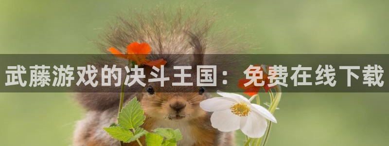 新宝gg最新更新内容与历史回顾：武藤游戏的决斗王国：免费在线下载