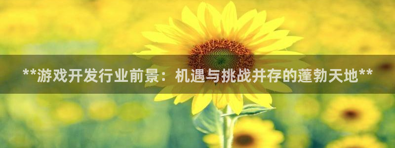 新宝gg平台—创造奇迹登录：**游戏开发行业前景：机遇与挑战并存的蓬勃天地**