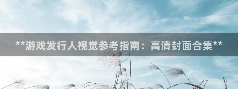 新宝gg—创造奇迹登录：**游戏发行人视觉参考指南：高清封面合集**