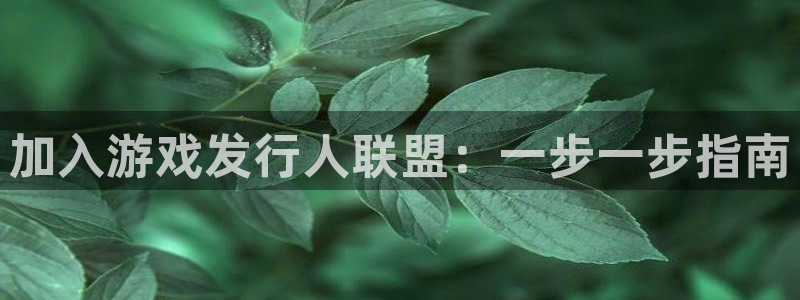 新宝gg—创造奇迹官网登录：加入游戏发行人联盟：一步一步指南