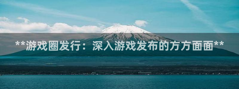新宝gg登录测速中心：**游戏圈发行：深入游戏发布的方方面面**