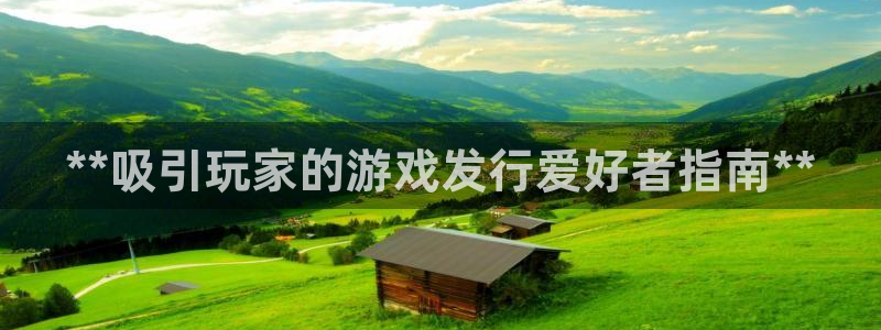 新宝gg创造奇迹登陆 127.0.0.1：**吸引玩家的游戏发行爱好者指南**