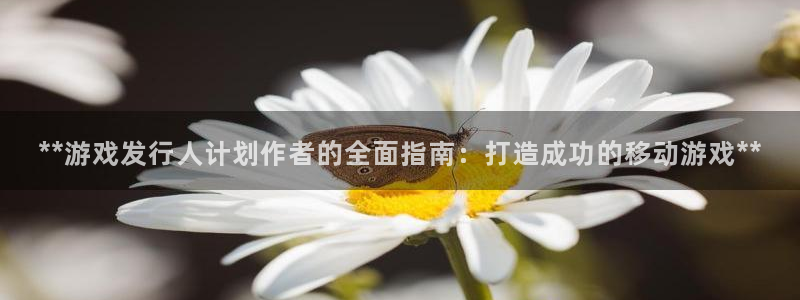 新宝gg创造奇迹官方登录注册入口：**游戏发行人计划作者的全面指南：打造成功的移动游戏**