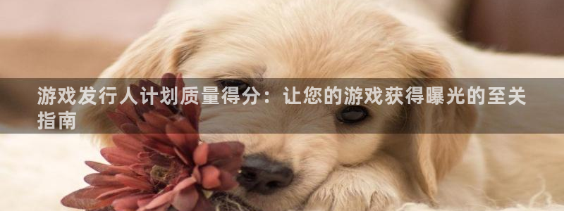 新宝gg平台注册网址：游戏发行人计划质量得分：让您的游戏获得曝光的至关
指南