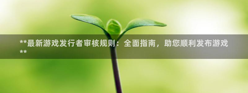 新宝gg最简单登录方法：**最新游戏发行者审核规则：全面指南，助您顺利发布游戏
**