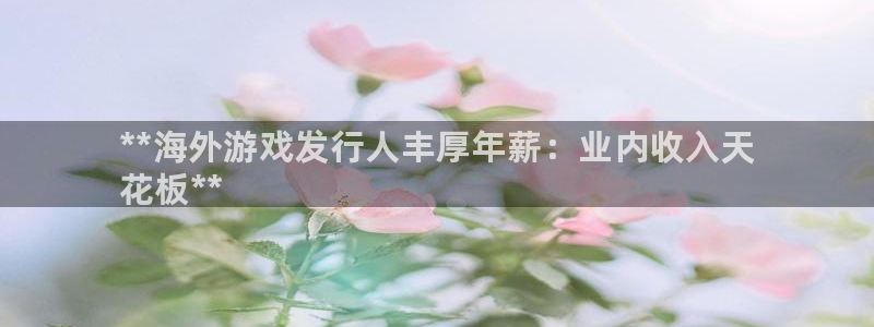 新宝gg奇迹登录怎么登录不了：**海外游戏发行人丰厚年薪：业内收入天
花板**