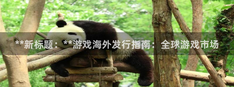 新宝gg娱乐创造奇迹登录官网：**新标题：**游戏海外发行指南：全球游戏市场