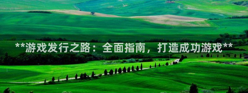 新宝gg―创造奇迹登录平台：**游戏发行之路：全面指南，打造成功游戏**