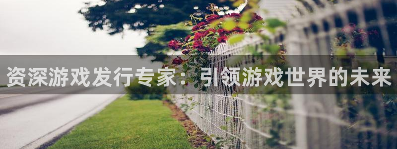 新宝gg平台注册?
