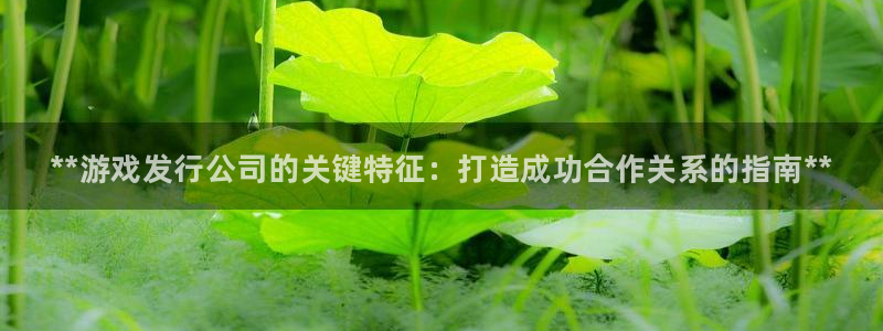 新宝gg1956注册地址：**游戏发行公司的关键特征：打造成功合作关系的指南**