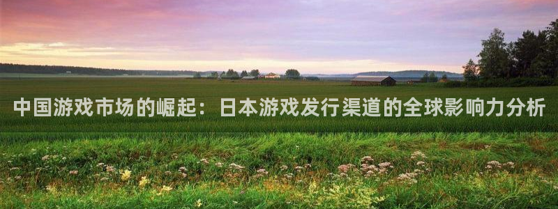 新宝gg平台是否合法：中国游戏市场的崛起：日本游戏发行渠道的全球影响力分析