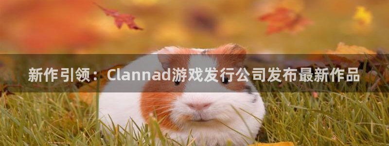 新宝gg—创造奇迹官网登录：新作引领：Clannad游戏发行公司发布最新作品