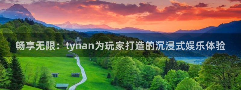 新宝gg登录测速中心：畅享无限：tynan为玩家打造的沉浸式娱乐体验