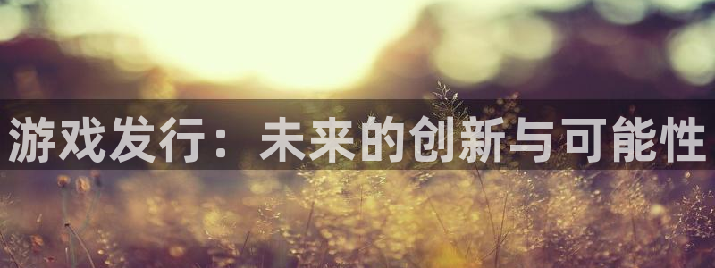 新宝gg招商主管：游戏发行：未来的创新与可能性